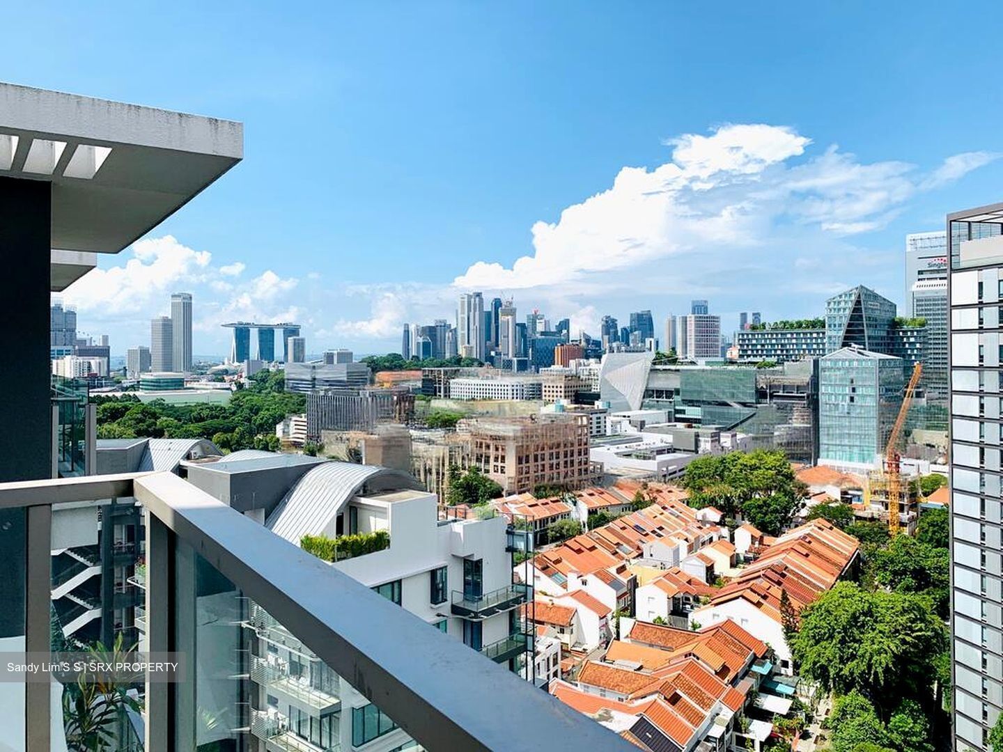 Cairnhill Crest (D9), Condominium #555068091